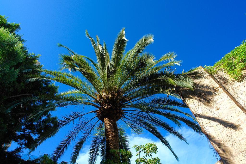 Vakantiehuis Ca'n Perlita Palma de Mallorca